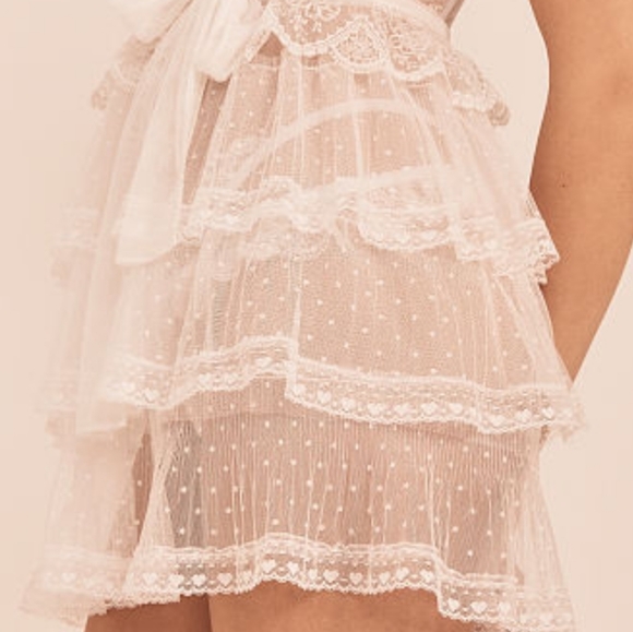 NWT For Love and Lemons Forever Slip Dress VS Sexy - Picture 7 of 16